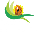 teixeira